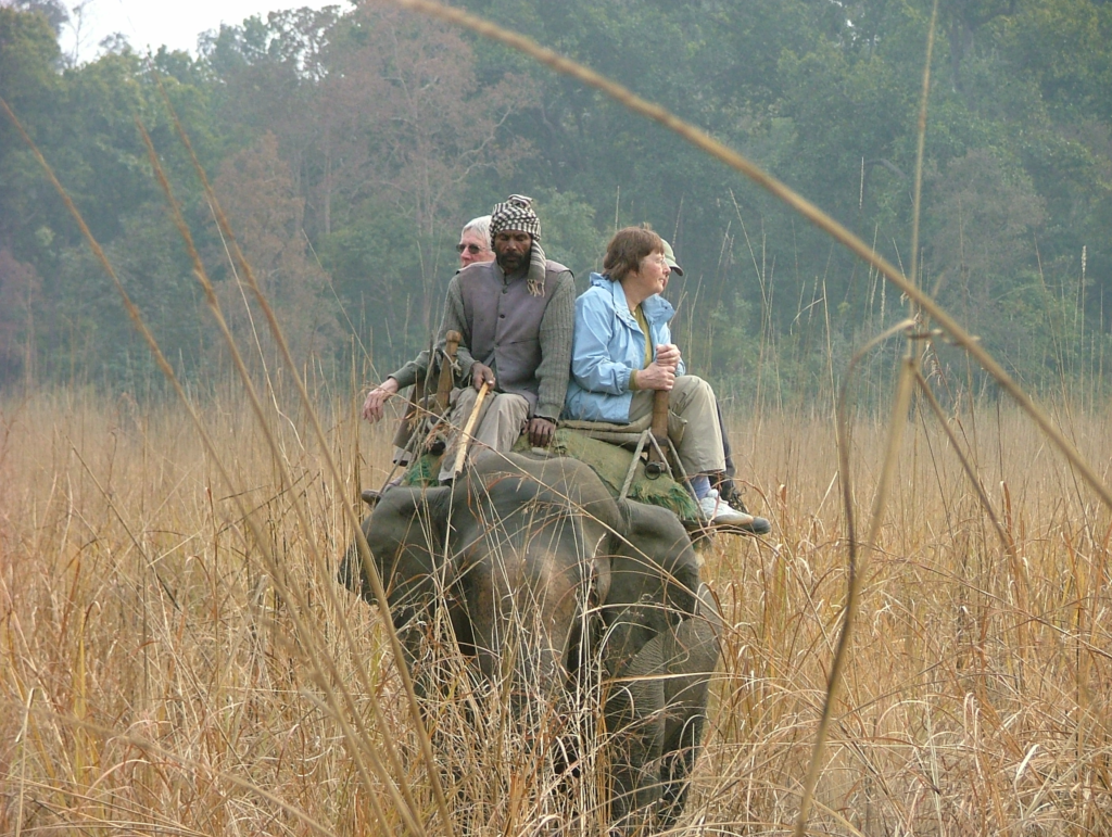 tourists riding an elephant