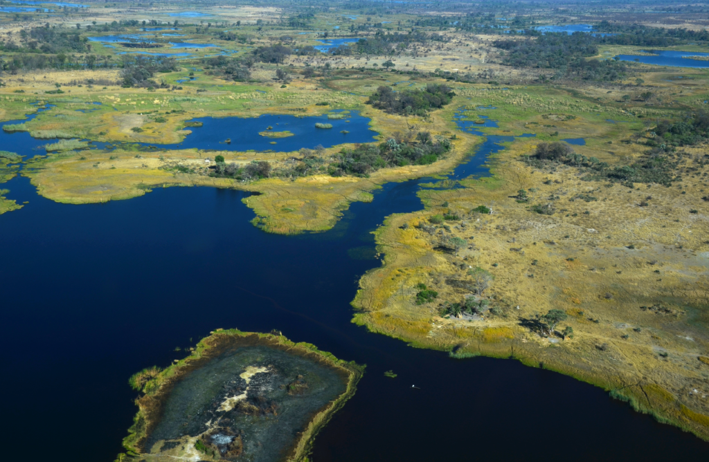 is botswana good for a safari-Okavango Delta