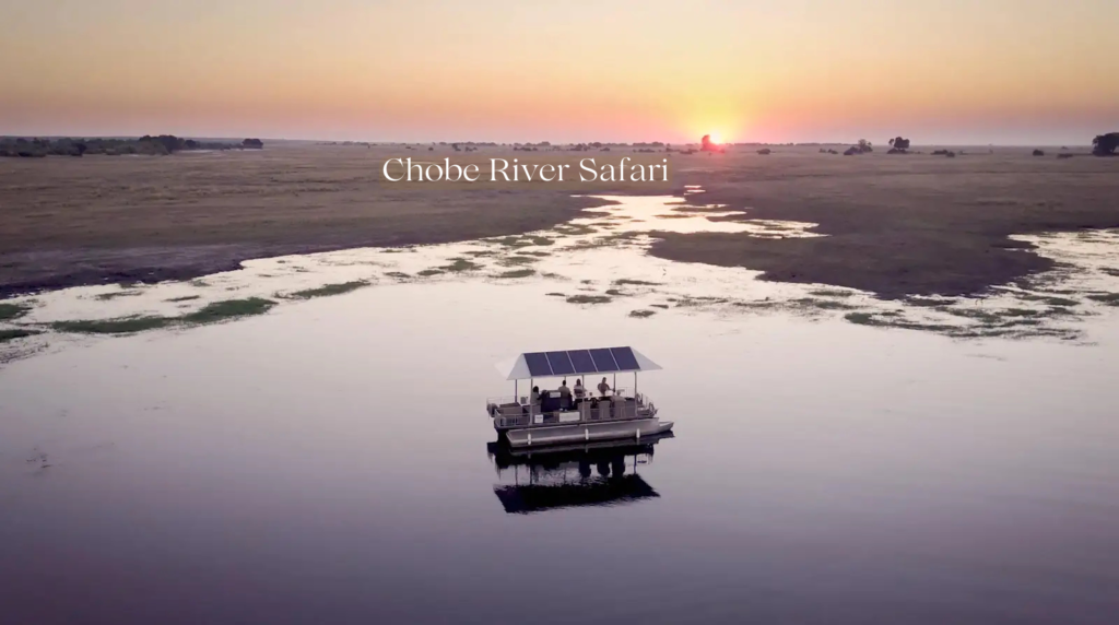Chobe River Safari