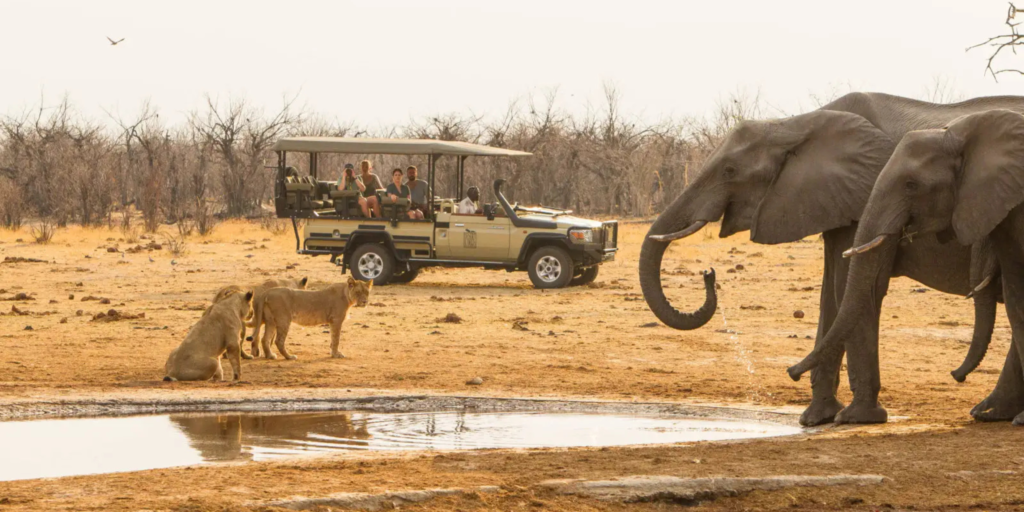 ultimate guide to your first Botswana safaris