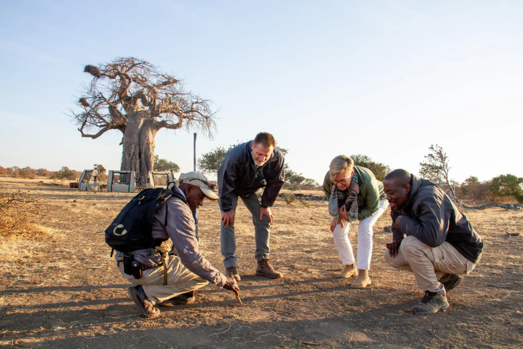 Mashatu walking safari