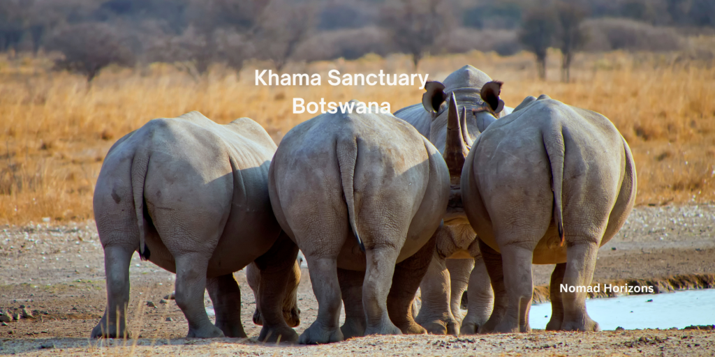 botswana wildlife conservation policy-Rhinos in Khama Sanctuary
