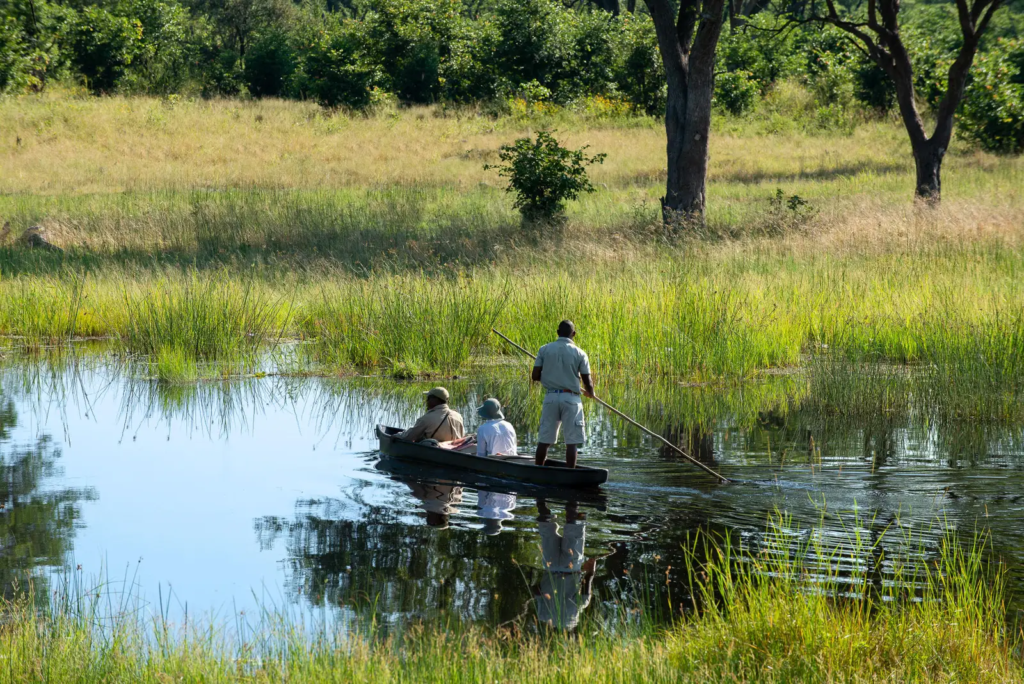 mokoro okavango delta safari